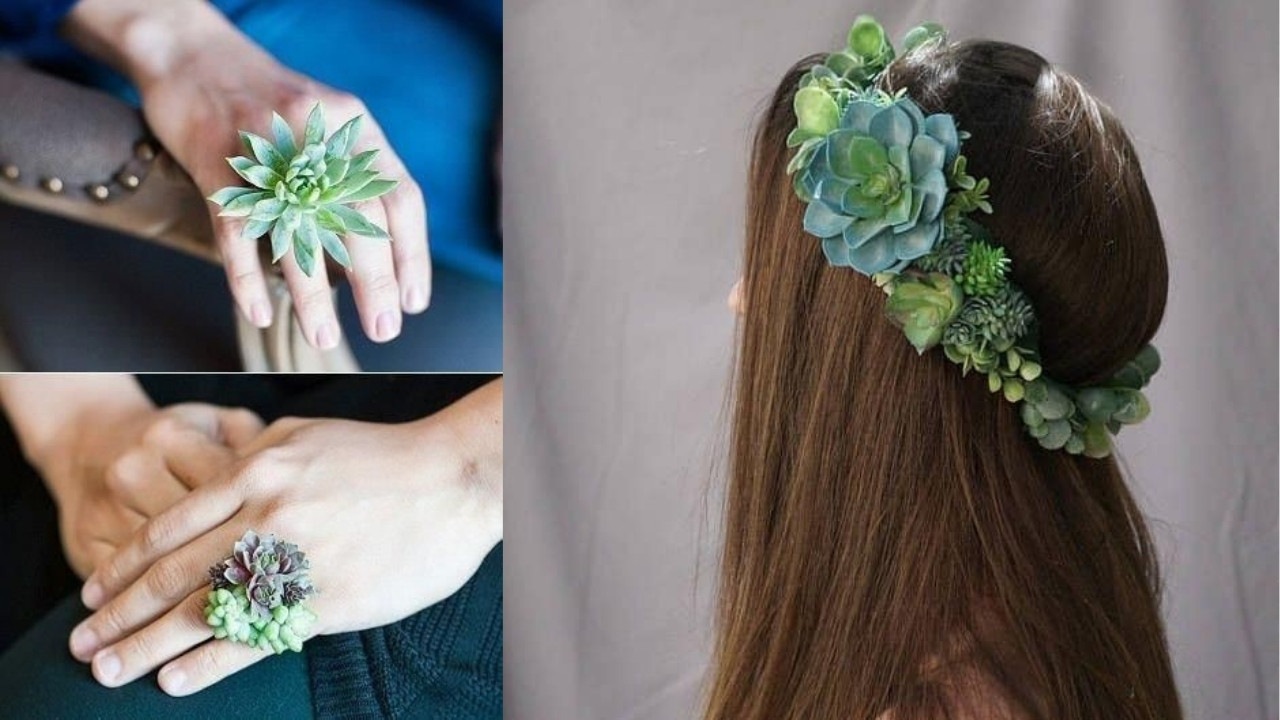 accesorios con suculentas