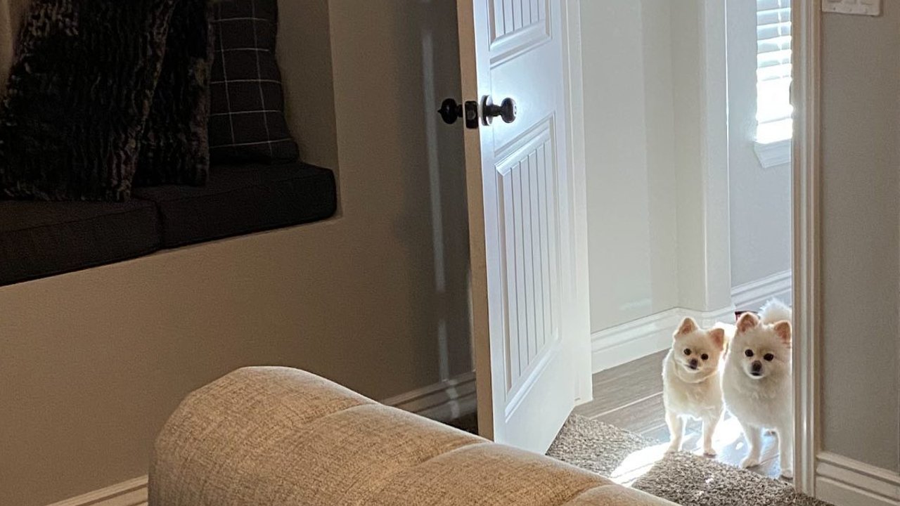 espacios alfombrados en la recámara de Victoria Ruffo