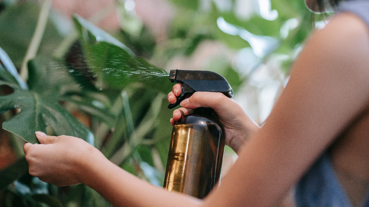 como evitar danos en jardin por calor