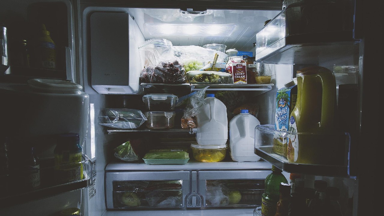 cucarachas en electrodomesticos