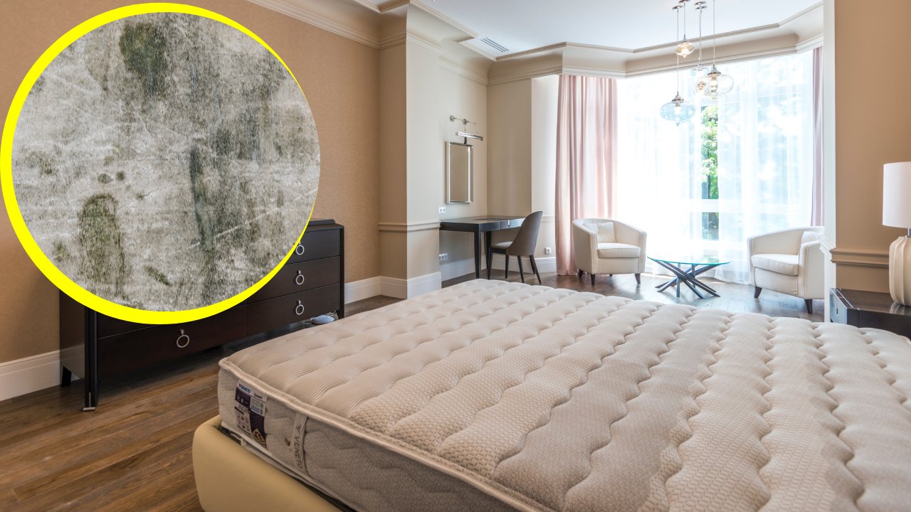 cómo eliminar el moho del colchón con alcohol