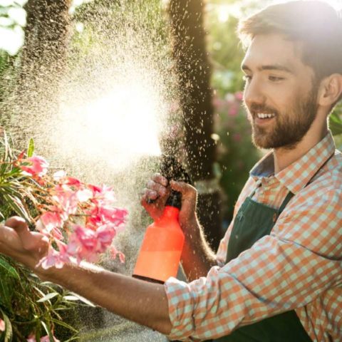 Cómo hacer agua de riego