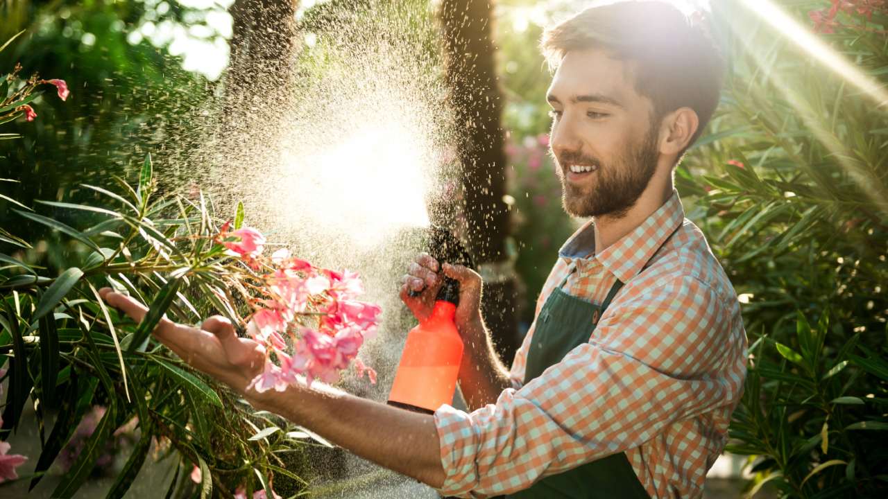 Cómo hacer agua de riego