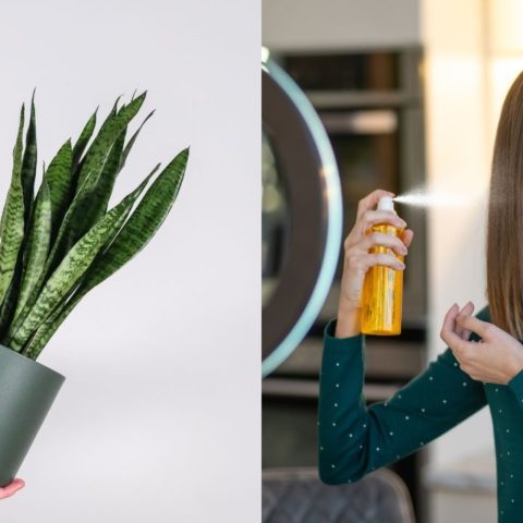 mascarilla para hacer crecer cabello con lengua de suegra