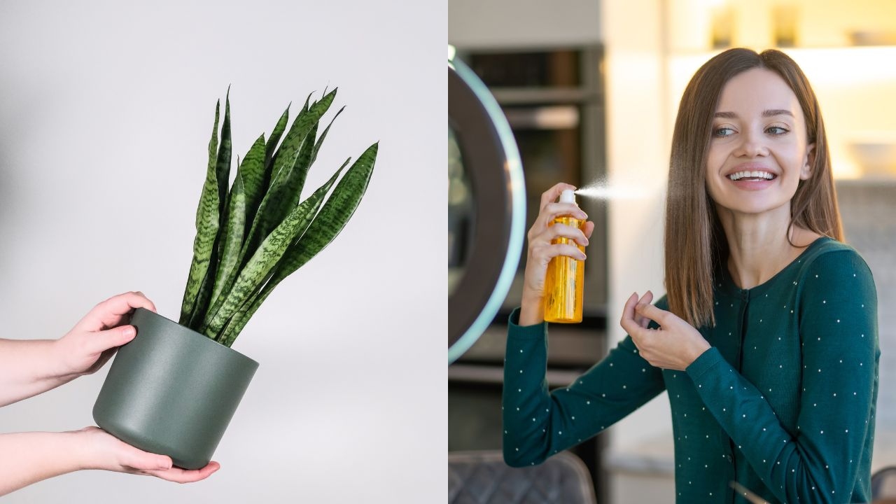 mascarilla para hacer crecer cabello con lengua de suegra