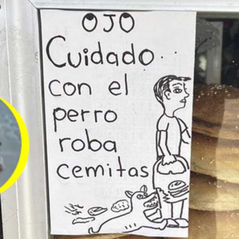 cuidado con el perro roba cemitas