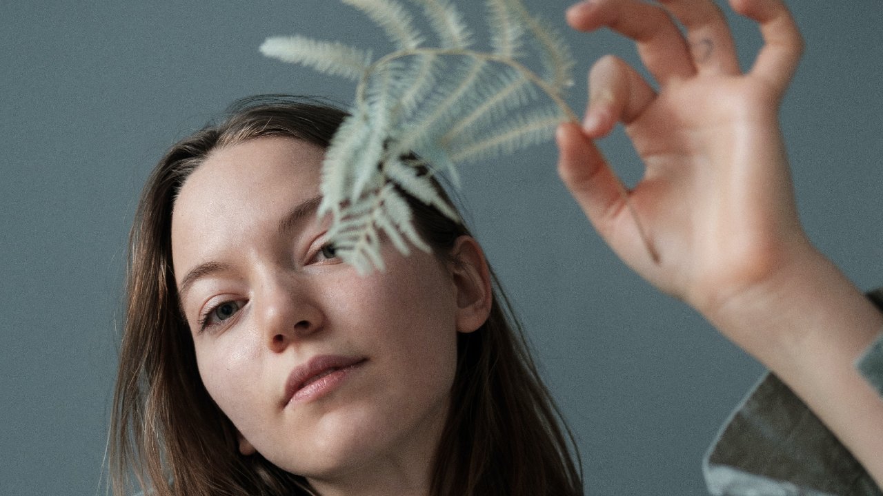 donde ubicar helechos en casa