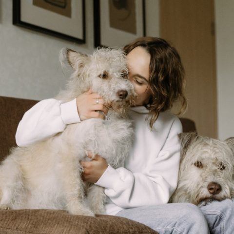 es normal amar a perro