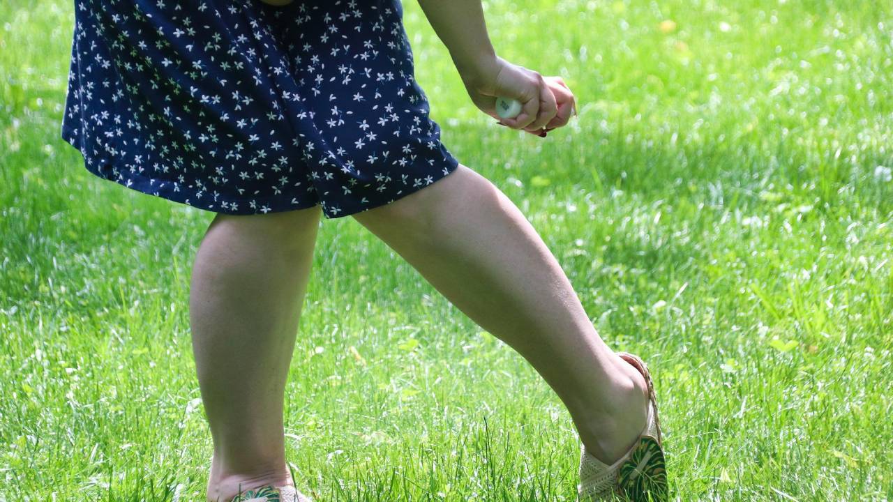 imágenes de picaduras de arañas