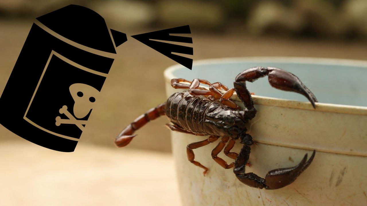 insecticida casero para alacranes