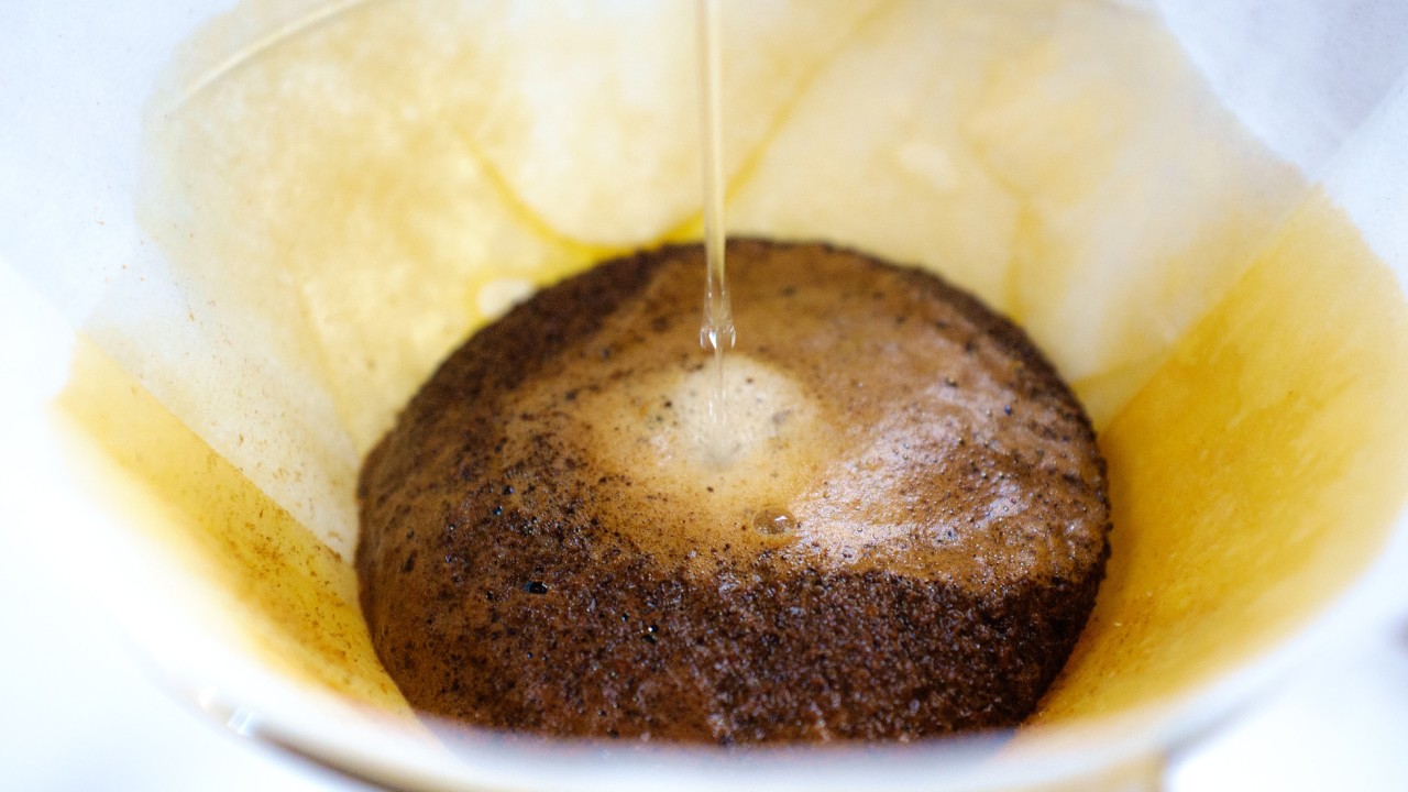 Insecticida casero para eliminar hormigas