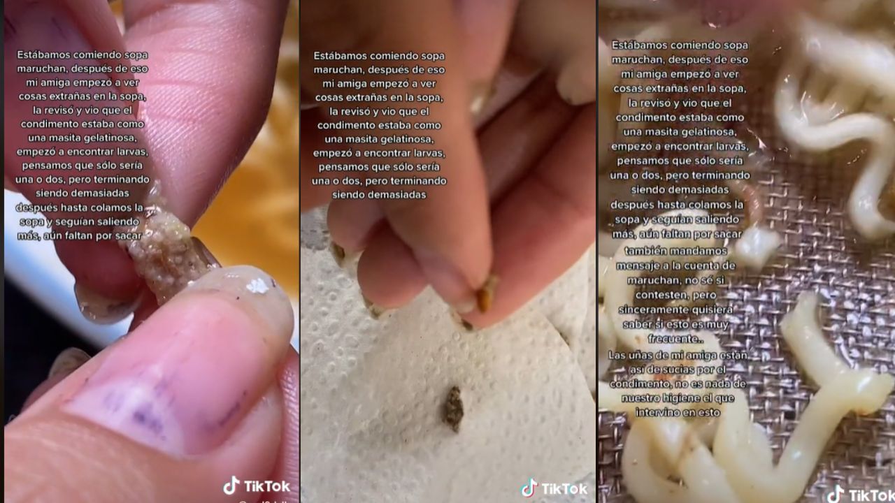 larvas en las sopas instantáneas