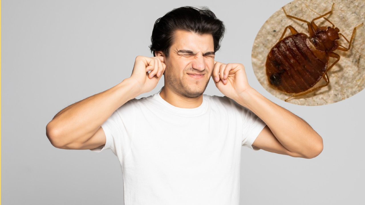 Las chinches se pueden meter a tus oidos o boca mientras duermes