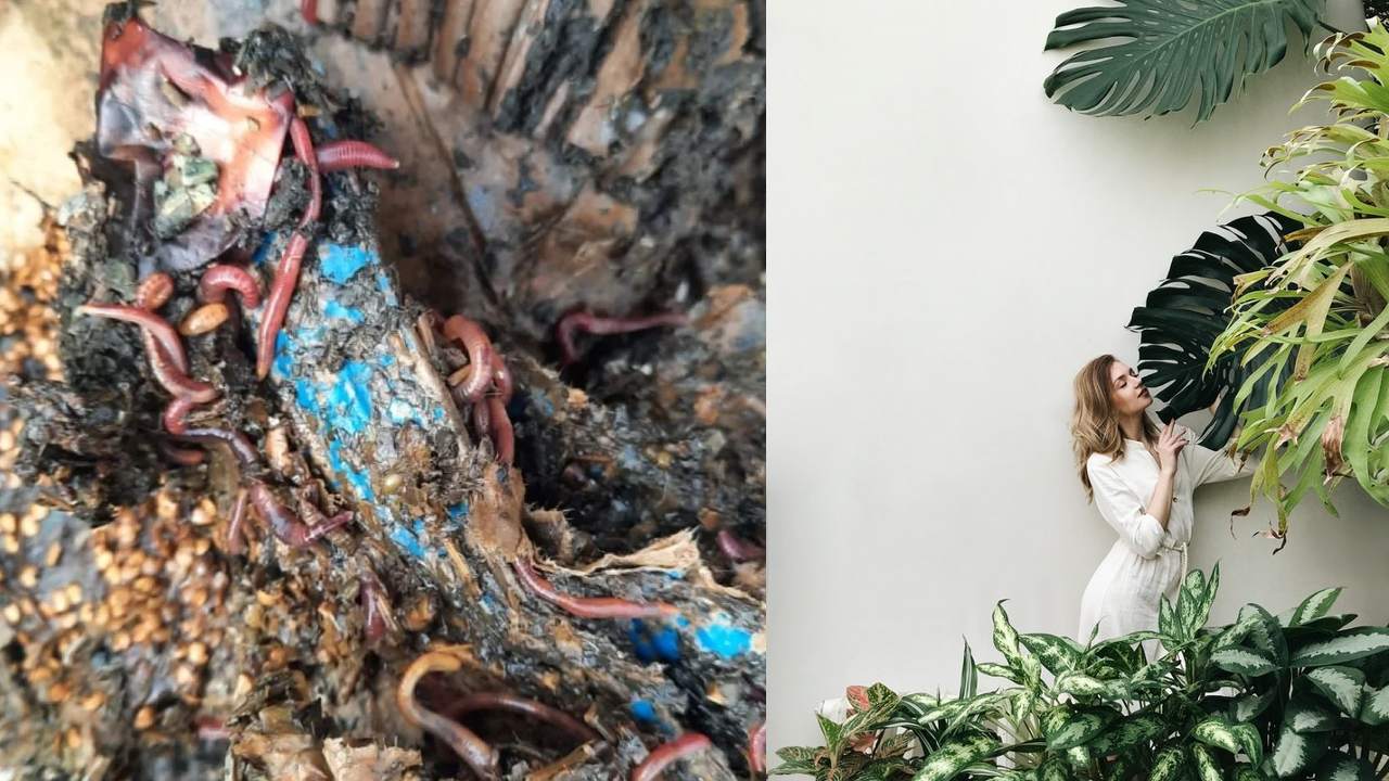 Lombricomposta casera