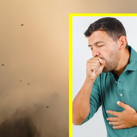 nube de polvo del Sahara