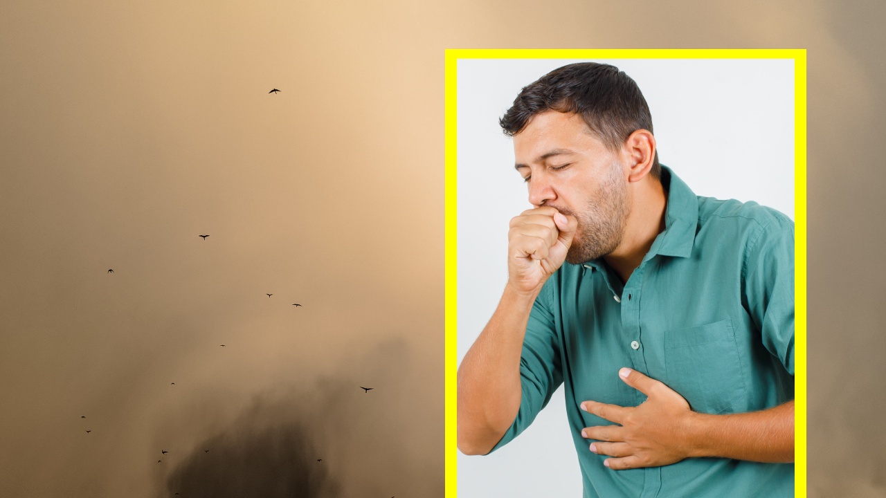 nube de polvo del Sahara