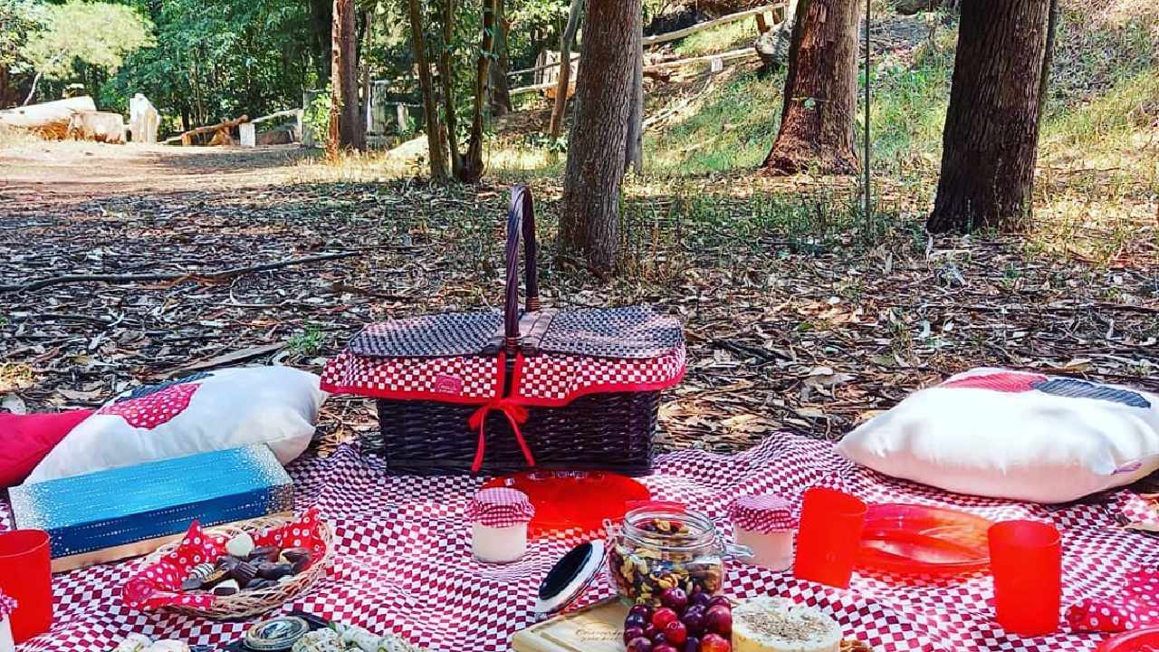 parques en cdmx para hacer picnic 10 de mayo