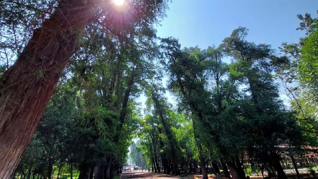 parques cdmx picnic dia de las madres