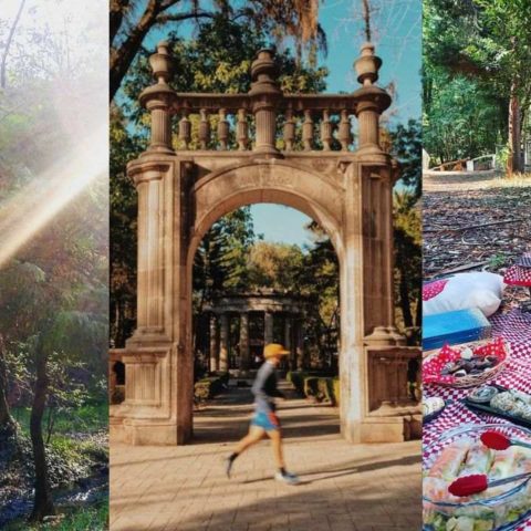 parques cdmx para picnic 10 de mayo