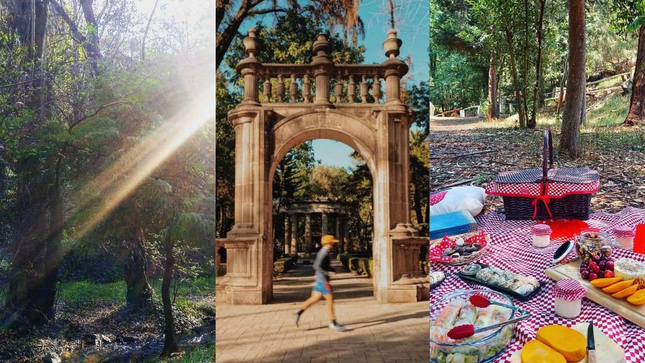 parques cdmx para picnic 10 de mayo