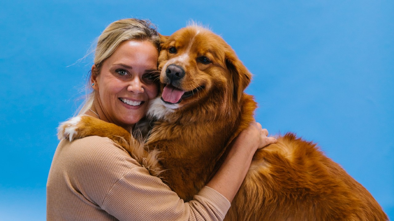 cachorrita rescatada no levanta cara