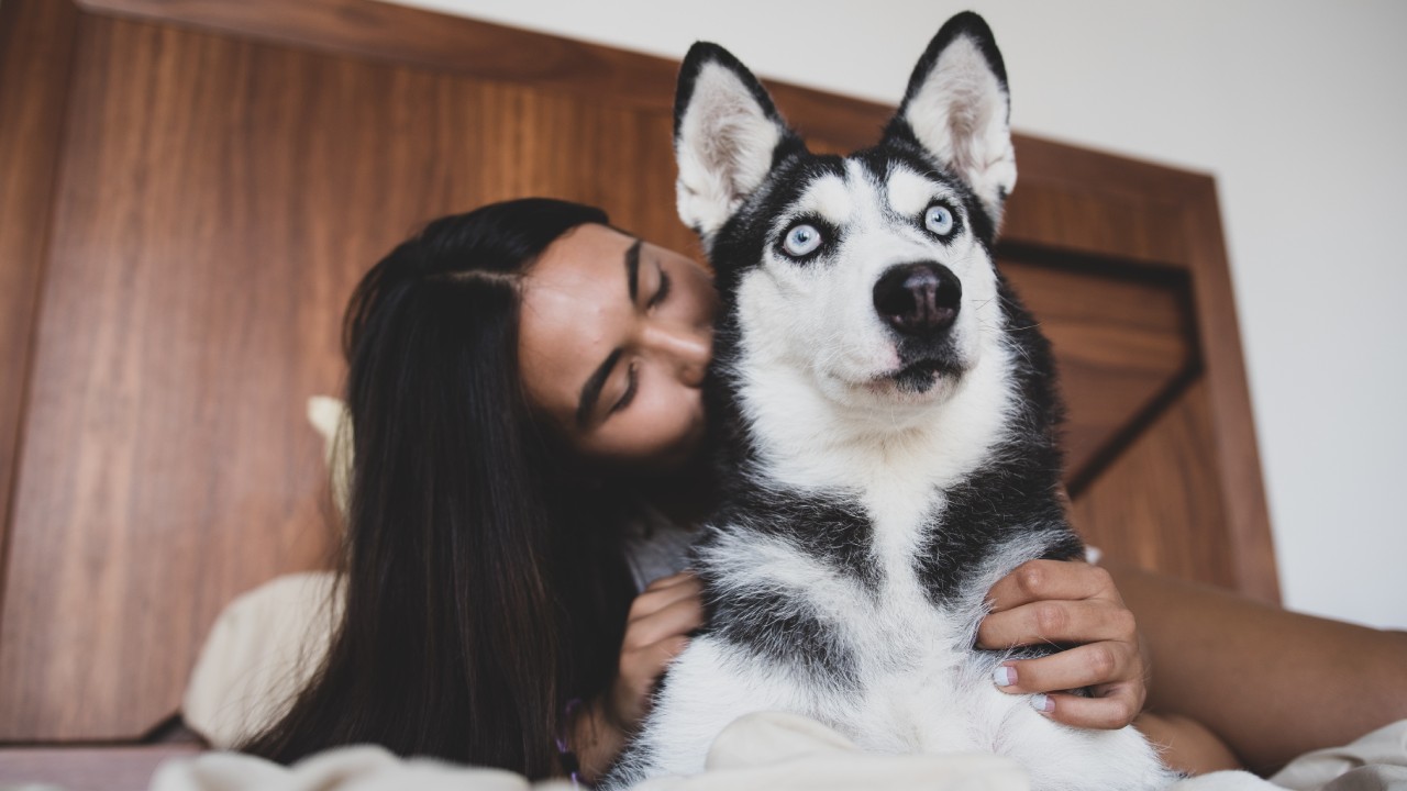 por qué me gusta oler a mi perro