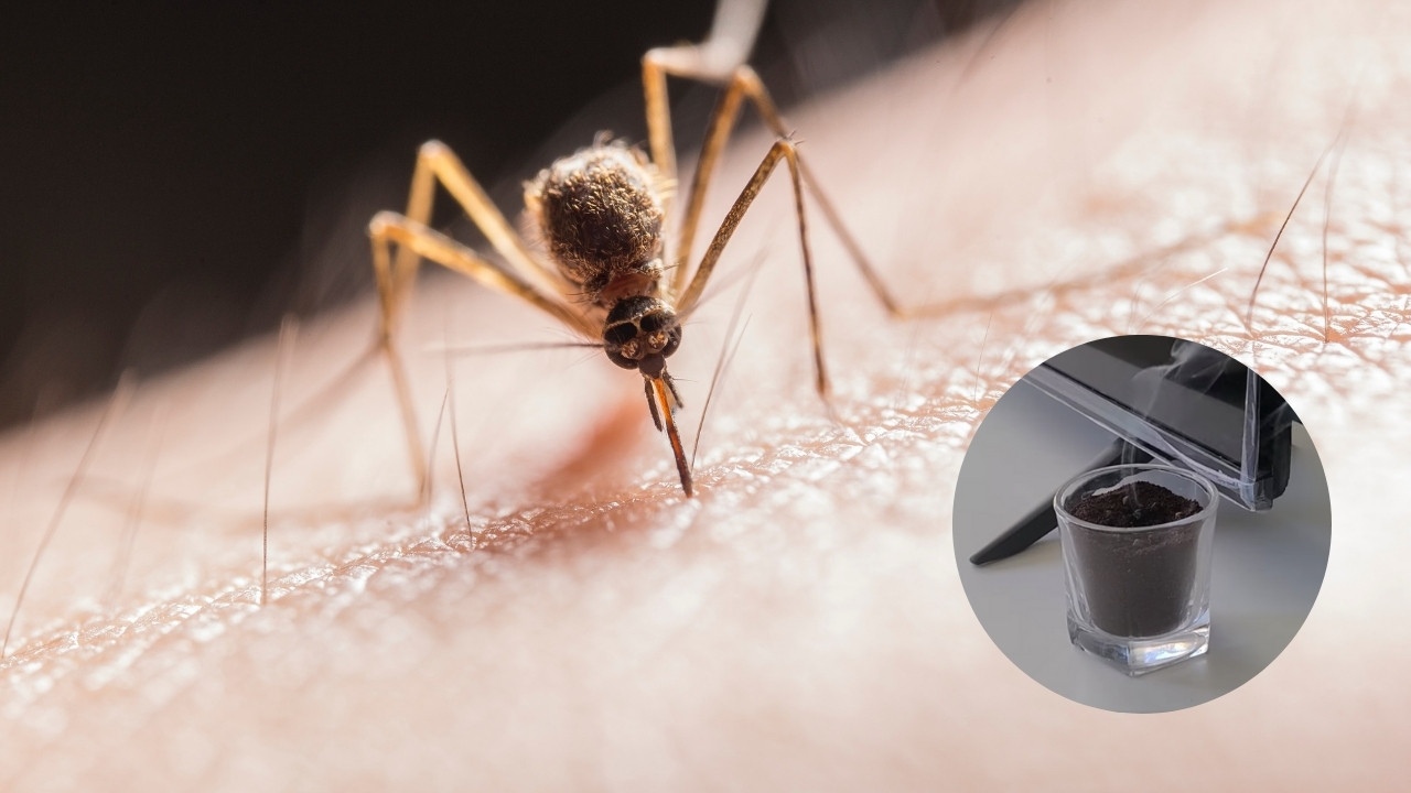 como hacer raidolito casero