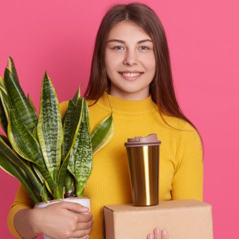 tipos de lengua de suegra