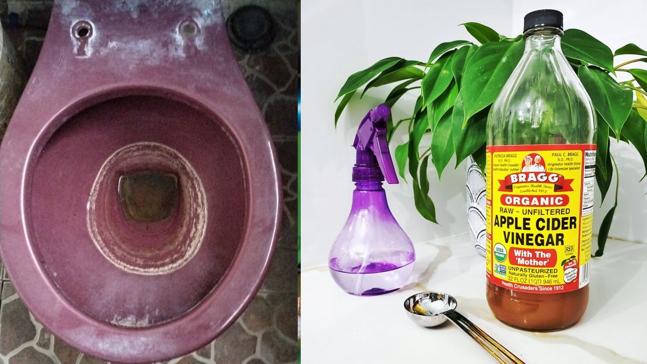 Truco con vinagre para quitar las manchas blancas de sarro del inodoro