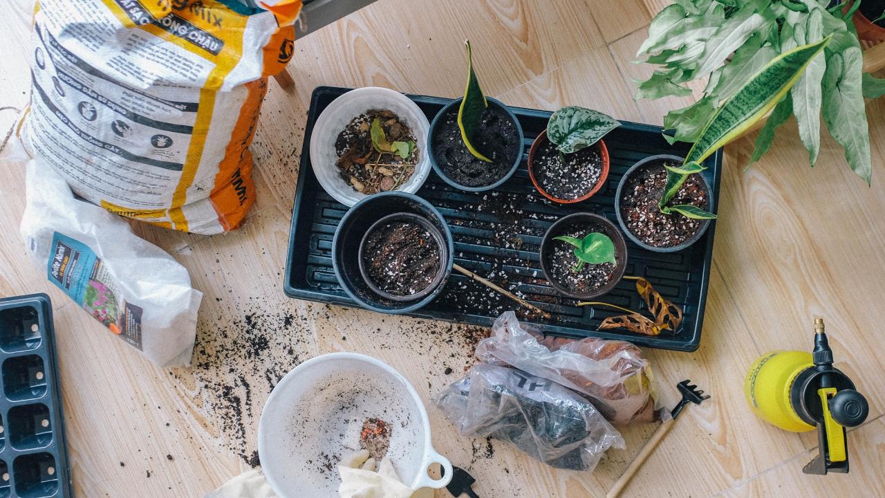abono con cáscaras de cítricos