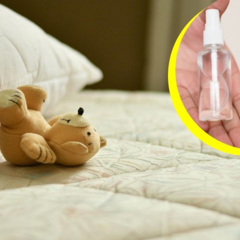 alcohol para eliminar ácaros