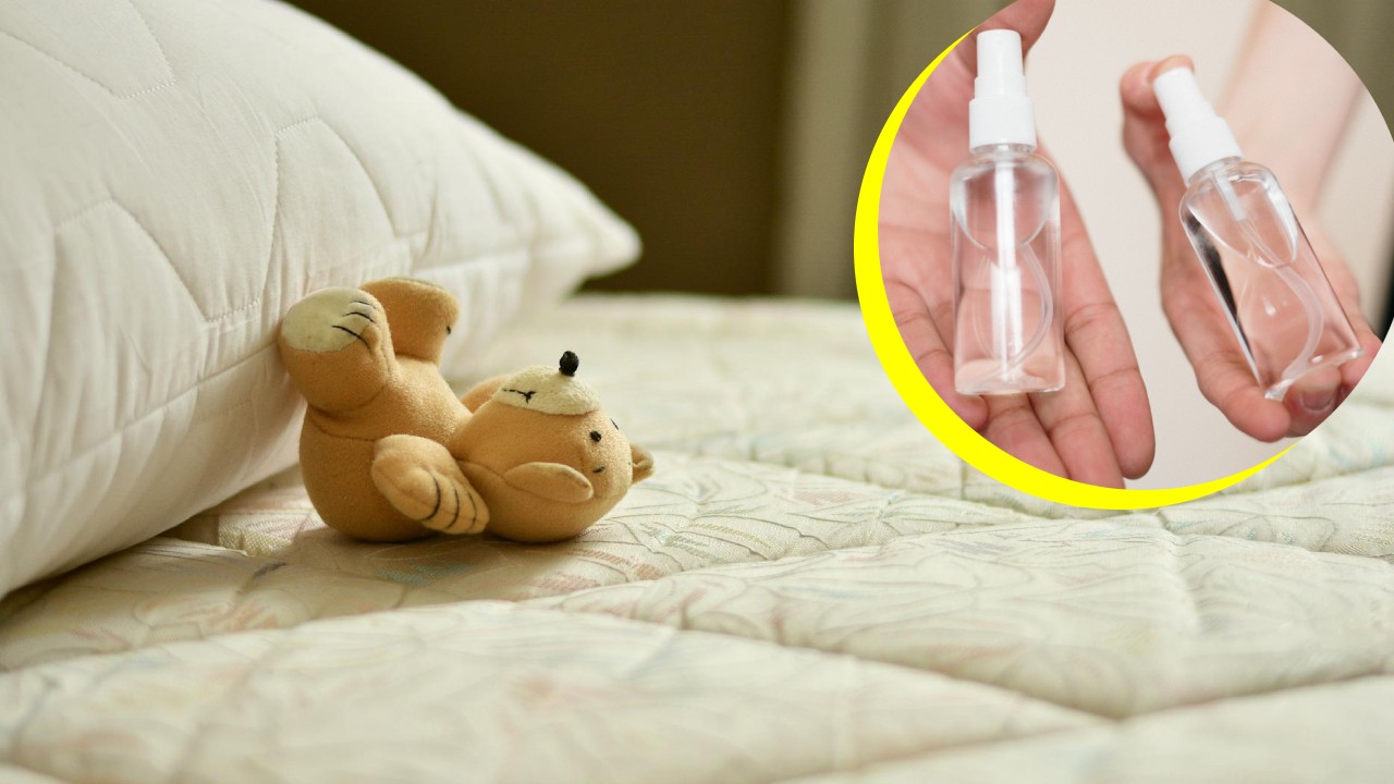 alcohol para eliminar ácaros