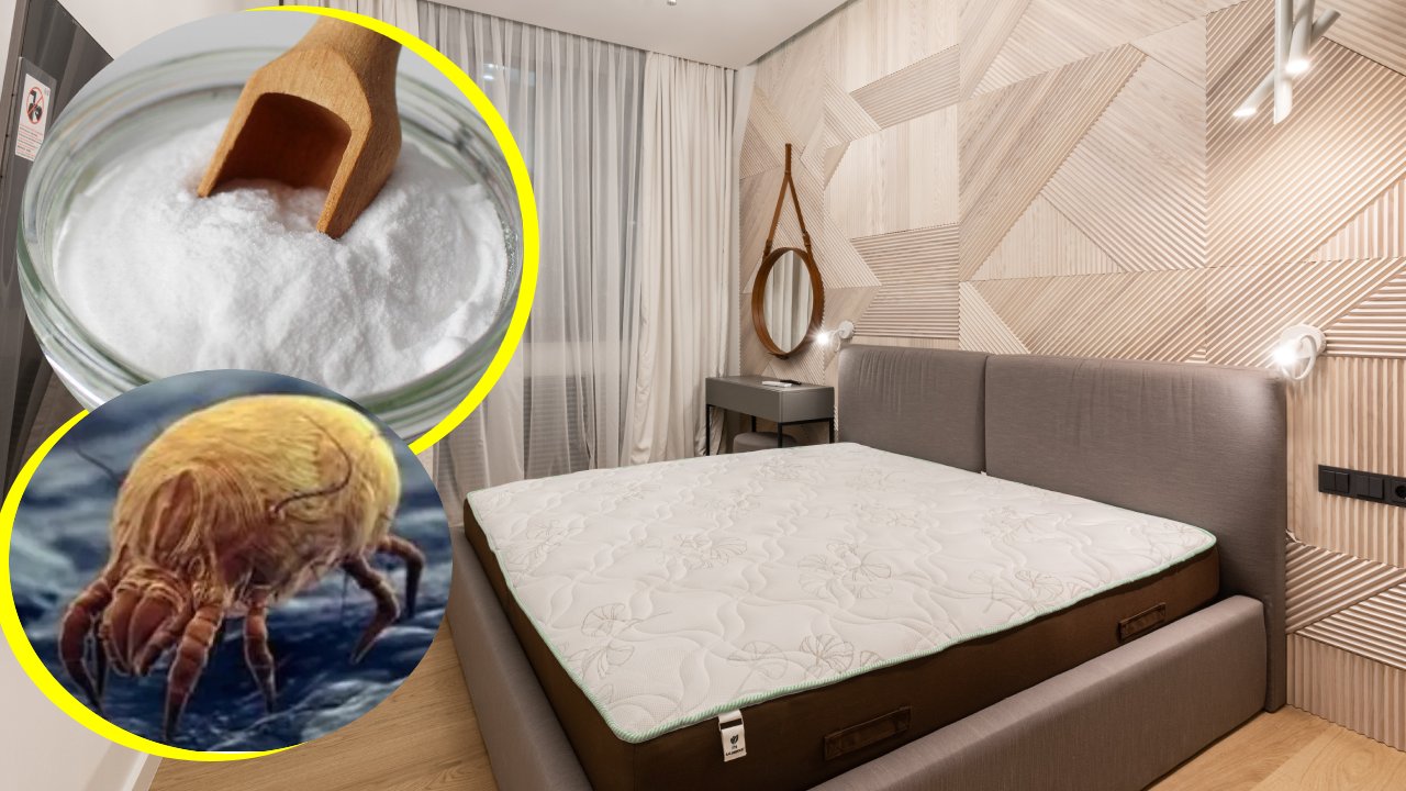 bicarbonato para matar ácaros