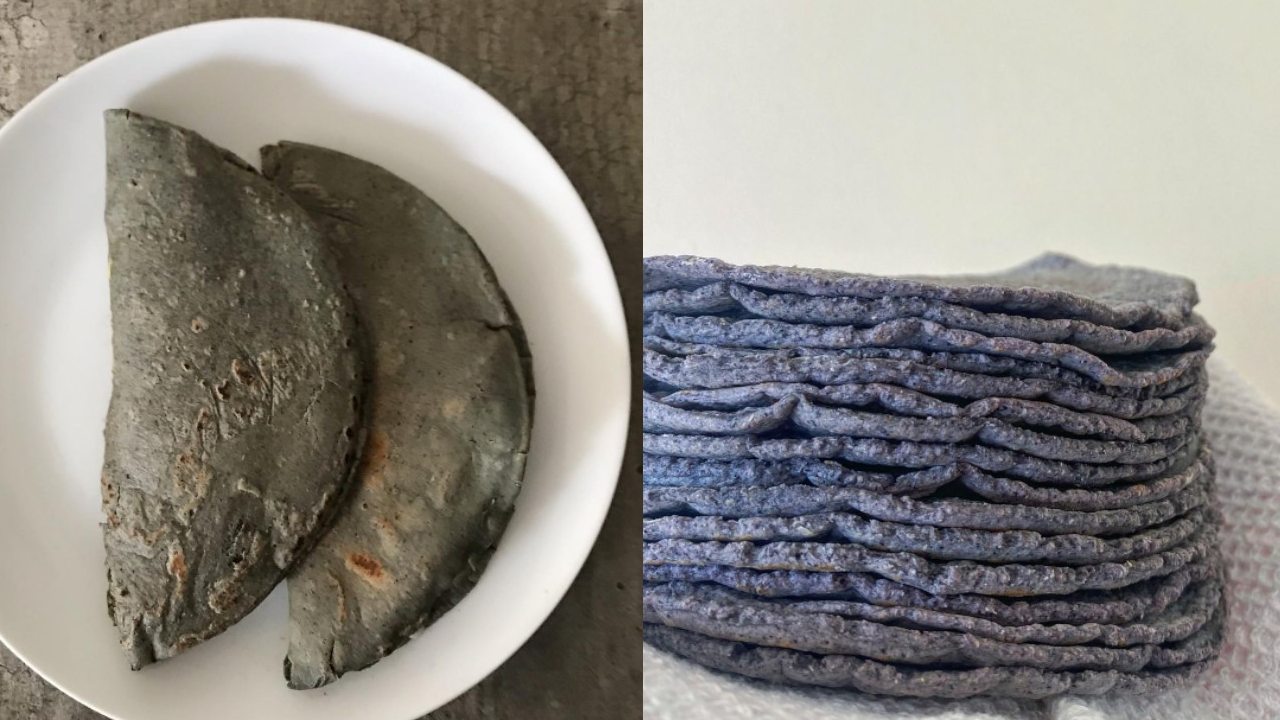 tortilla azul de maiz