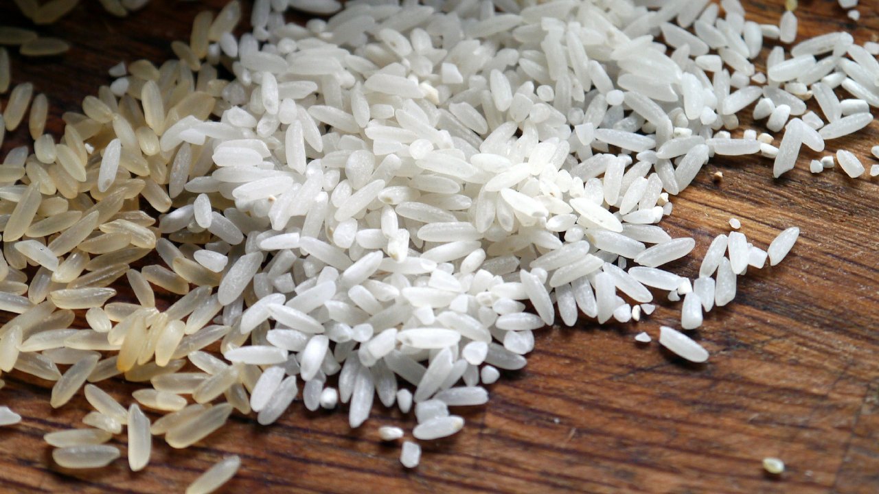 gusanos de arroz cómo eliminarlos