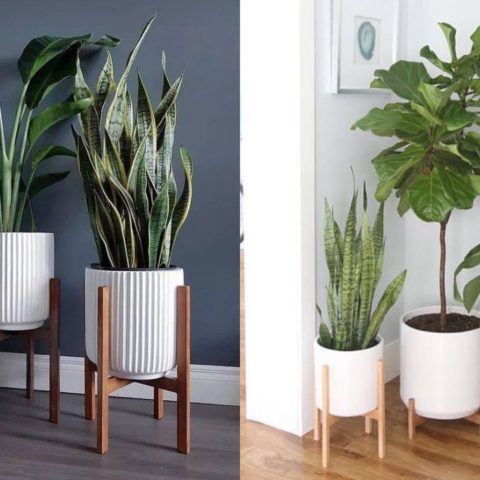 hacer portamacetas con palos de escoba