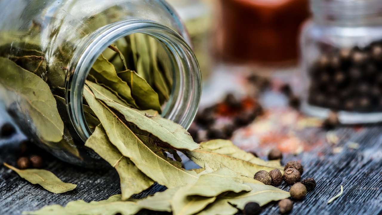 laurel para ahuyentar cucarachas