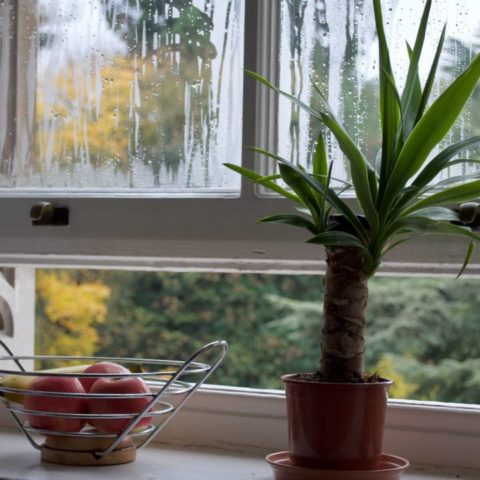 ventilar tu casa para evitar humedad