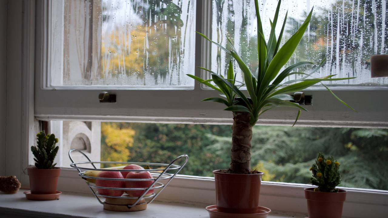 ventilar tu casa para evitar humedad