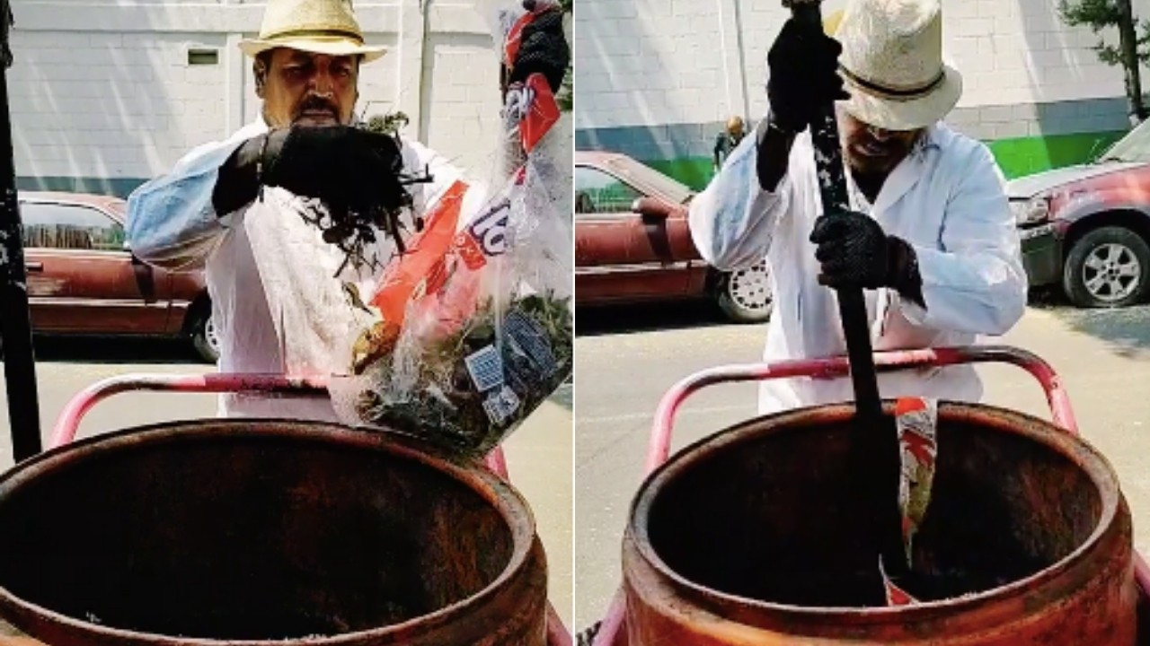 recolectores de basura virales