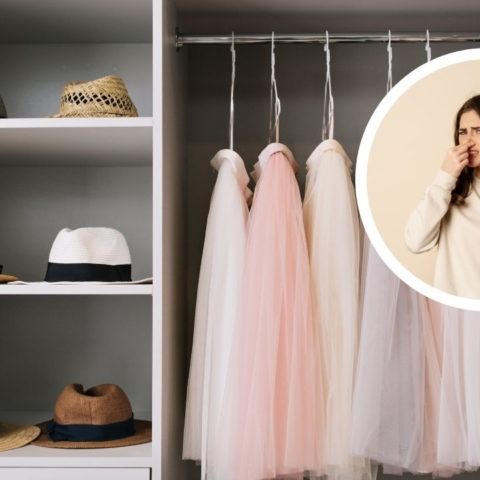 como eliminar humedad de closet