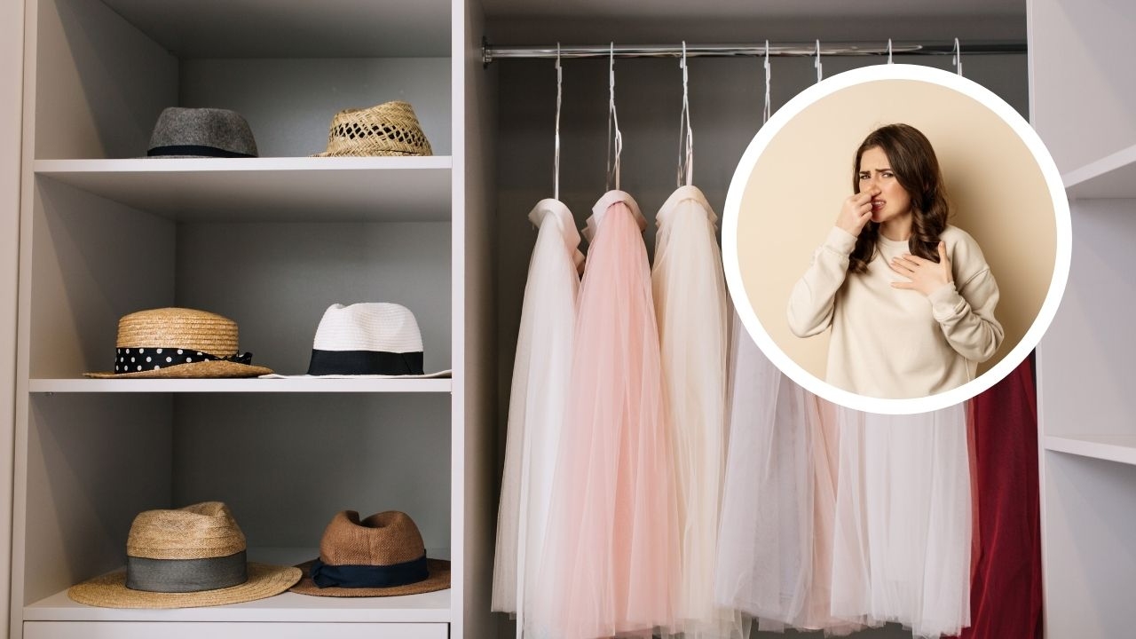 como eliminar humedad de closet