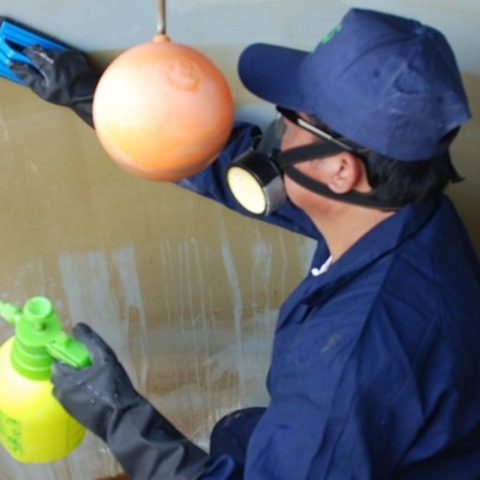 Cada cuando se debe lavar la cisterna