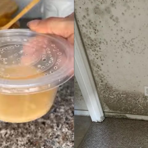 Cómo hacer un anti moho casero