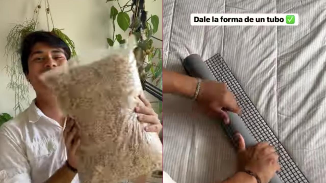 como hacer soporte para plantas trepadoras