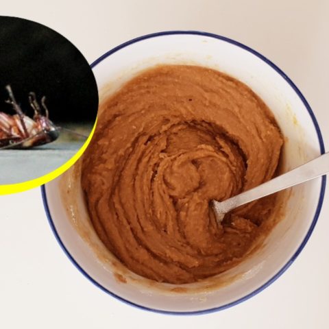 cómo hacer una jeringa mata cucarachas