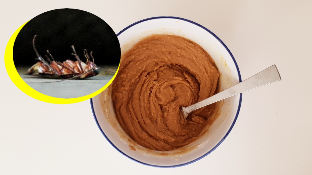 cómo hacer una jeringa mata cucarachas