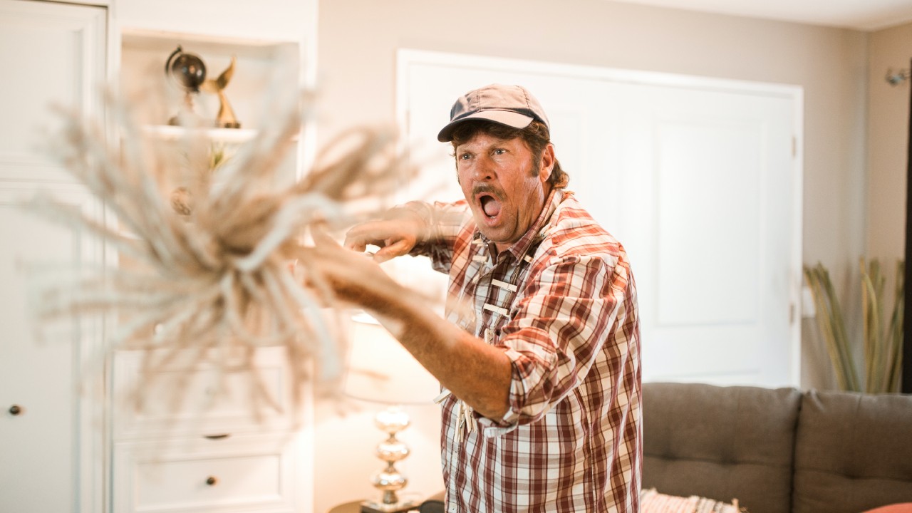 cómo lavar un trapeador para que quede blanco