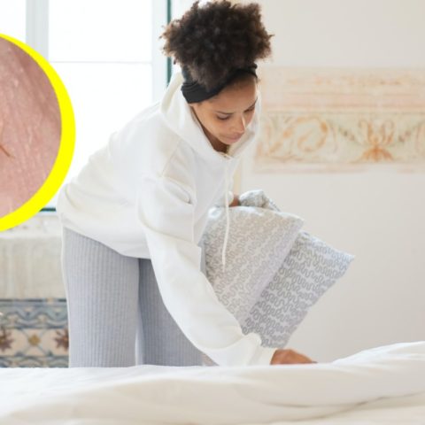 cómo saber que no hay chinches en tu cama