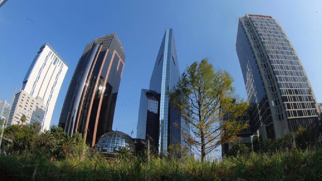 ahuehuete de reforma